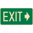 EXIT&EVAC SIGN EXIT ARR/R LUM SS    