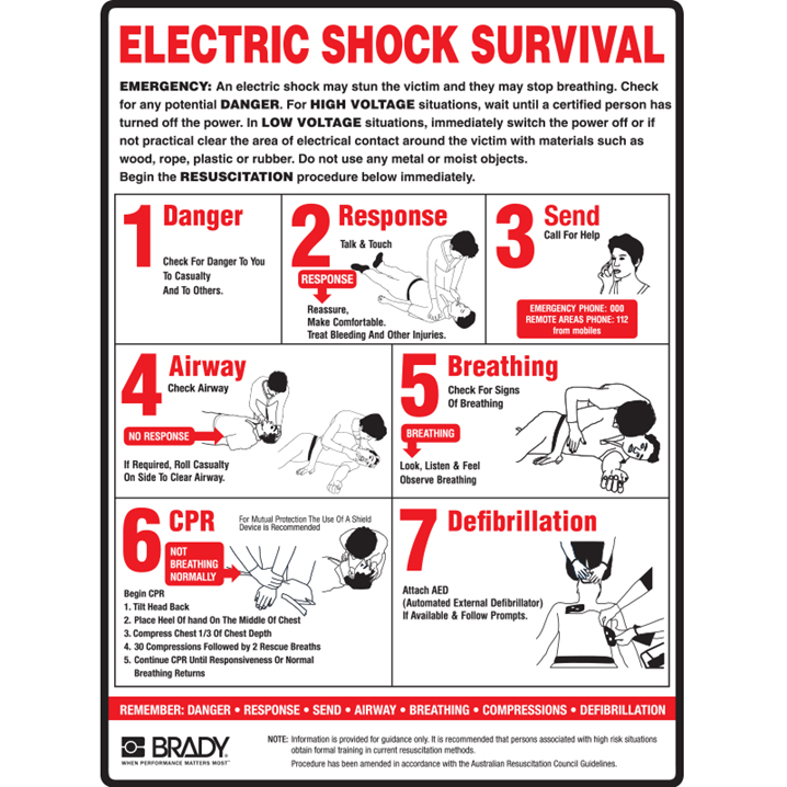 ELECTRIC SHOCK SURVIVAL SIGN POLY - Image - 1