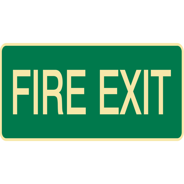 EXIT&EVAC SIGN FIRE EXIT LUM MTL     - Image - 1