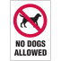 NO DOGS ALLOWED 300X225 MTL       